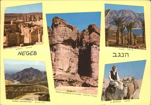 Israel Negeb Mountains Wueste Oase Kamel Kat. Israel