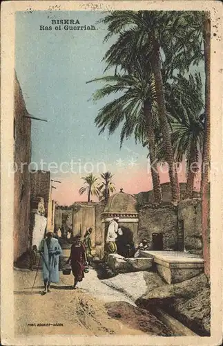 Biskra Ras el Guerriah Palmen Kat. Algerien