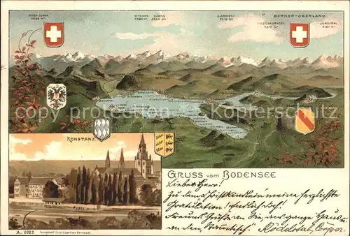Konstanz Bodensee Panoramakarte mit Schweizer Alpen Stadtblick mit Muenster Kat. Konstanz