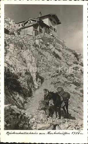 Reichenhaller Haus Hochstauffen Esel  / Bad Reichenhall /Berchtesgadener Land LKR