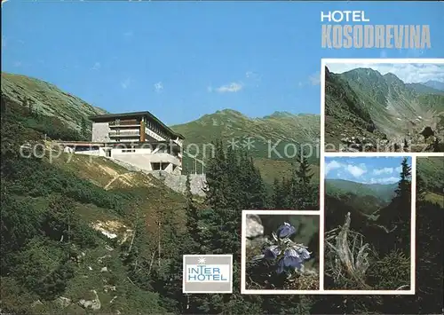 Tatra Vysoke Gebirge Hotel Kosodrenvina Kat. Slowakische Republik