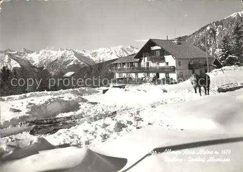 Avelengo Albergo Rosa Alpina Hafling Gasthof Alpenrose  Kat. Hafling Suedtirol