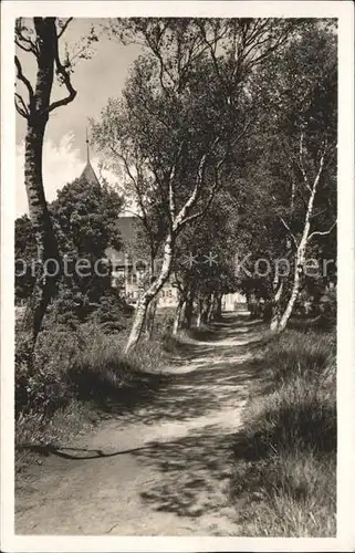 Prerow Ostseebad im Naturschutzgebiet Kirchweg / Darss /Nordvorpommern LKR