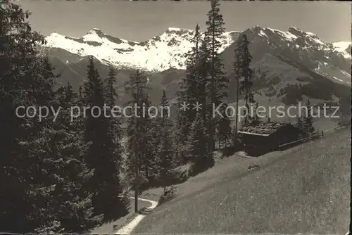 Adelboden Hoernliweg Steghorn Wildstrubel Fitzer Kat. Adelboden