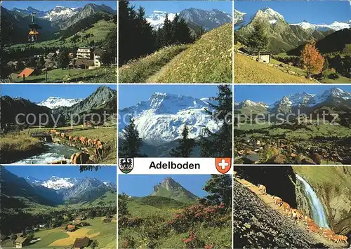 Adelboden Wasserfall Kuehe Alpen Sessellift  Kat. Adelboden