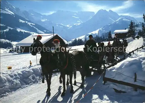 Adelboden Schlittenfahrt Steghorn Wildstrubel Fitzer Kat. Adelboden