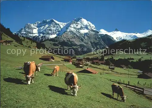 Stiegelschwand Adelboden Viehweide Grosslohner Tschingelochtighorn / Adelboden /Bz. Frutigen