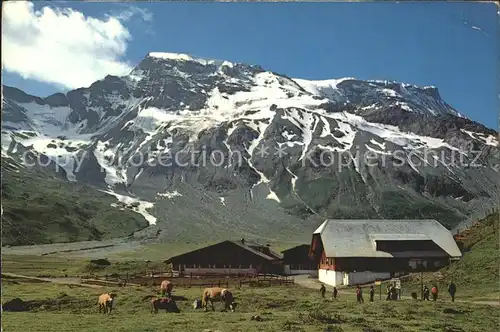 Adelboden Berghotel Engstligenalp Wildstrubel Kuehe Kat. Adelboden