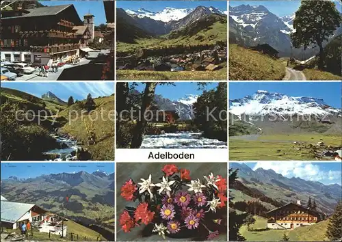 Adelboden Hotel Alpen Ortsansicht Blume Kat. Adelboden