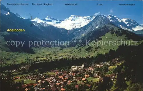 Adelboden Tschingelochtighorn Tierhoernli Steghorn Wildstrubel Fitzer  Kat. Adelboden