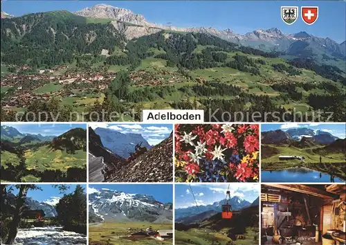 Adelboden Luftseilbahn Blume Ziege Alpen Ortsansicht Kat. Adelboden