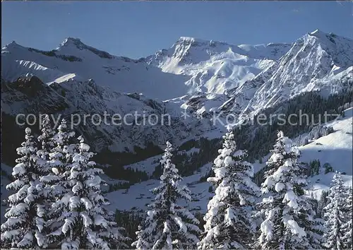 Adelboden Tierhoernli Steghorn Wildstrubel Fitzer Kat. Adelboden