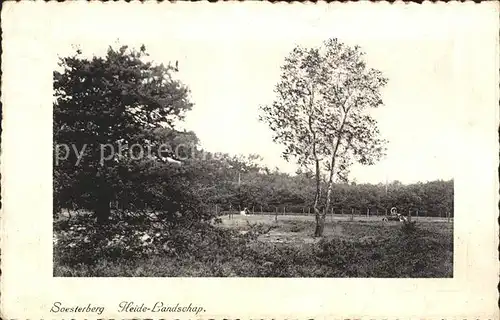 Soesterberg Heide Landschap Landschaft Kat. Soest