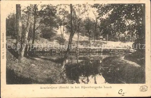 Rijsenburg Acaciavijver in het Rijsenburgsche bosch Kat. Rijsenburg Driebergen