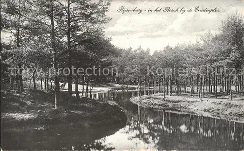 Rijsenburg Bosch bij de Eendenplas Kat. Rijsenburg Driebergen