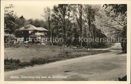 Holten Rijssen Holterberg weg naar de Feestbomen Kat. Rijssen Holten