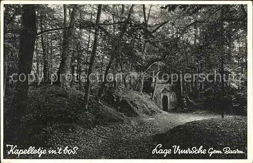 Lage Vuursche Kampeercentrum De Rading  Kat. Lage Vuursche