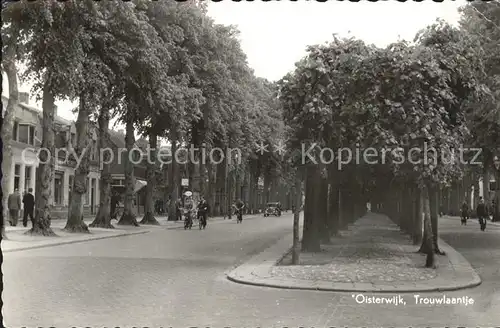 Oisterwijk Nordbrabant Trouwlaantje Kat. Oisterwijk