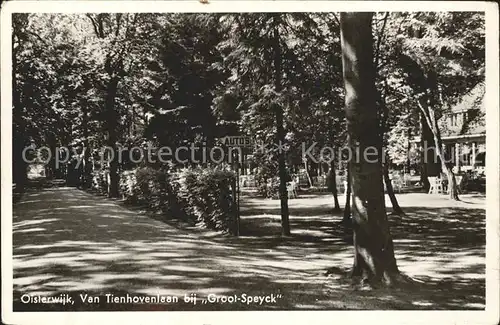 Oisterwijk Nordbrabant Van Tienhovenlaan bij Groot Speyck Kat. Oisterwijk