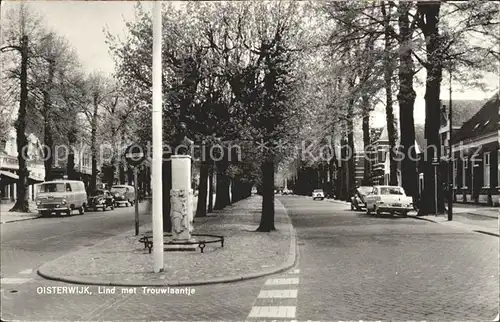 Oisterwijk Nordbrabant Lind met Trouwlaantje Kat. Oisterwijk