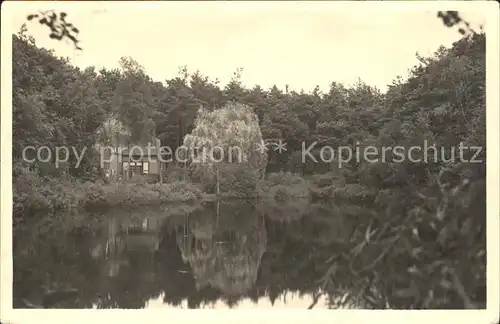 Oisterwijk Nordbrabant Het Hollemans Venneke bij de Pastorale Kat. Oisterwijk