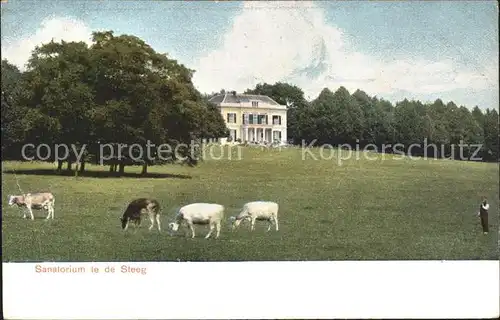 De Steeg Sanatorium Viehweide Kuehe Kat. Rheden