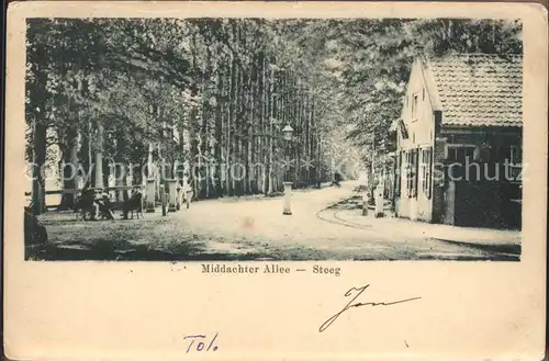 De Steeg Middachter Allee / Rheden /Gelderland