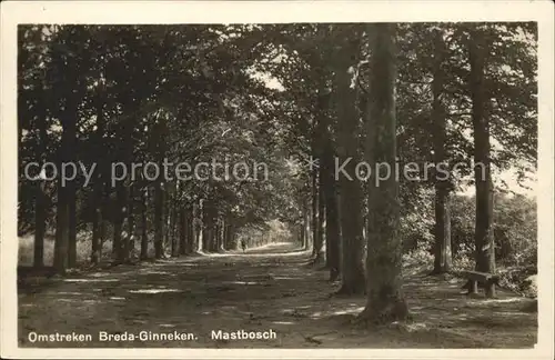 Ginneken Omstreken Breda Mastbosch Kat. Niederlande