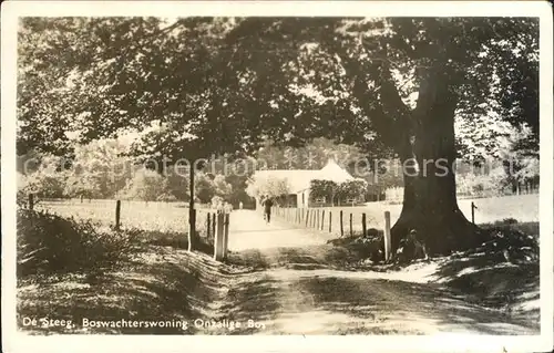 De Steeg Boswachterswoning Onzalige Bos Kat. Rheden