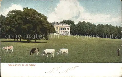 De Steeg Sanatorium Kuehe Kat. Rheden