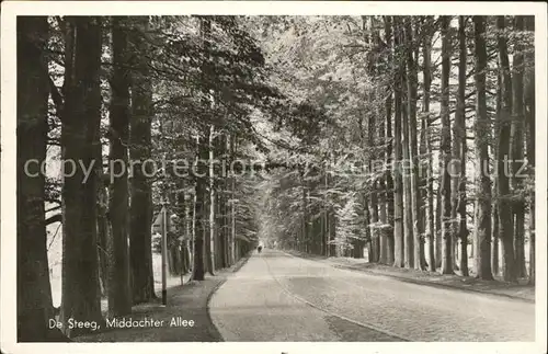 De Steeg Middachter Allee Kat. Rheden