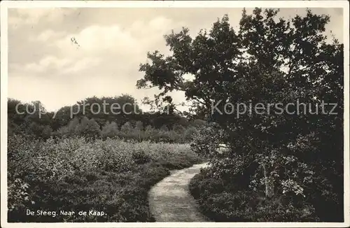 De Steeg Naar de Kaap Kat. Rheden