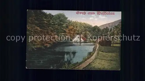 Westfalen Region Bauernhaus Teich Landschaft Kat. Melle