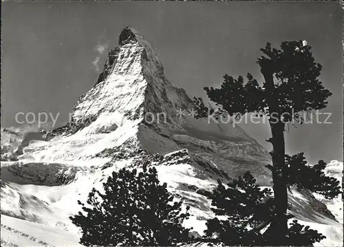 Zermatt VS Matterhorn Rifelalp Kat. Zermatt