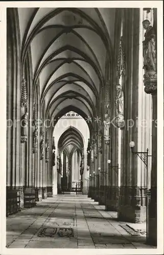 S Hertogenbosch Cathedrale Basiliek St. Jan Kat. Den Bosch Niederlande