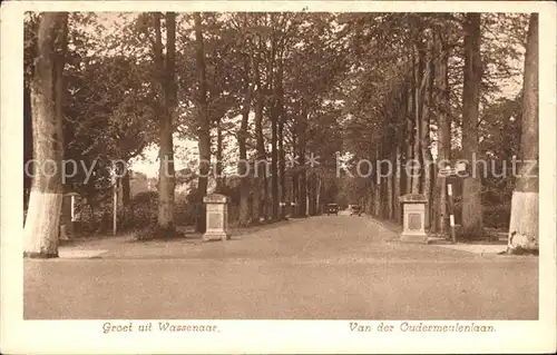 Wassenaar Van der Oudermeulenlaan Kat. Niederlande