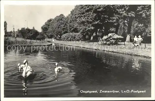 Oegstgeest Zwanenvijver Poelgeest Kat. Niederlande