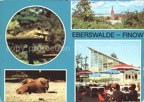 Finow Eberswalde Tierpark  Kat. Eberswalde Finow