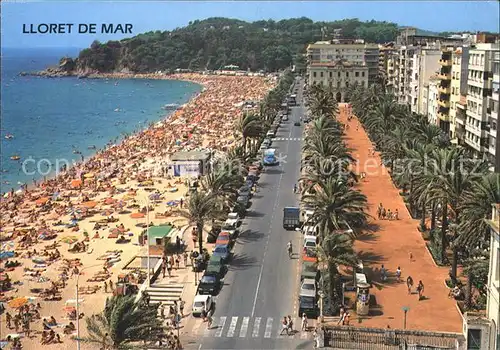 Lloret de Mar Strand Kat. Costa Brava Spanien