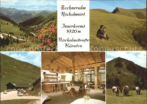 Innerkrems Krems Kaernten Berggasthaus Zechneralm Nockalmwirt Gastraum Alpenflora Pferde Kat. Krems in Kaernten