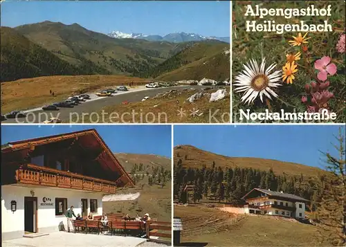 Eisentratten Krems Kaernten Alpengasthof Heiligenbach Nockalmstrasse Alpenflora Kat. Krems in Kaernten