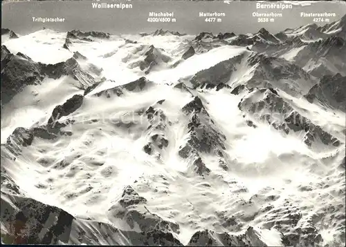 Engelberg OW Triftgletscher Walliseralpen Mischabel Matterhorn  Kat. Engelberg