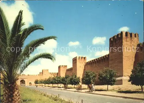 Taroudant Remparts  Kat. Marokko