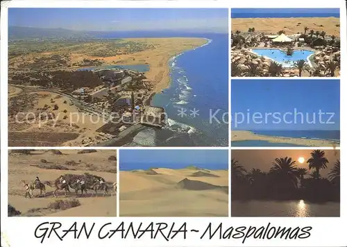 Maspalomas Fliegeraufnahme Kamelreiten Kat. Gran Canaria Spanien