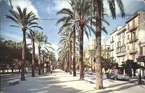 Mallorca Paseo de Sagrera Kat. Spanien