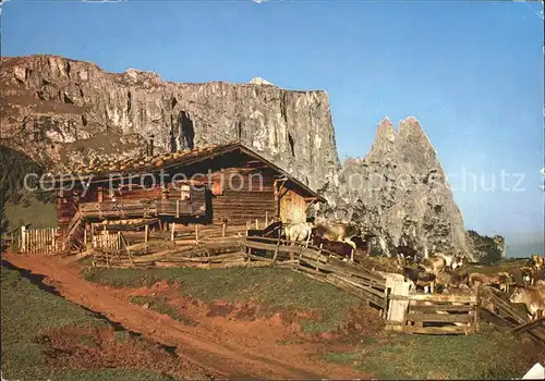 Seiser Alm Dolomiten Kat. Seis am Schlern Kastelruth Suedtirol