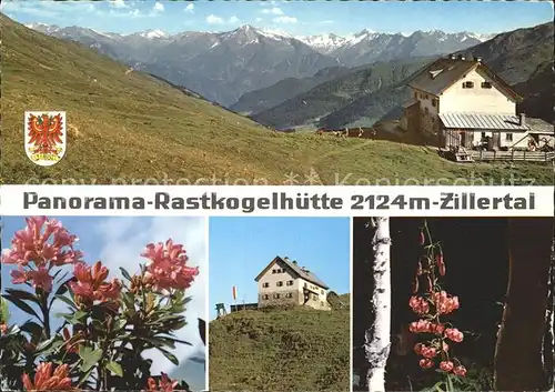 Rastkogelhuette Panorama Zillertal Alpen Alpenflora Kat. Hippach
