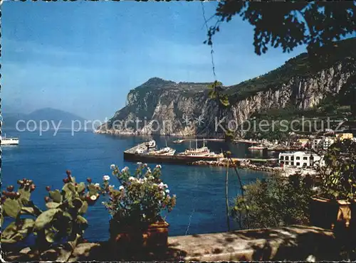 Capri Marina Grande Kat. Golfo di Napoli