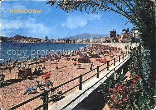 Benidorm Strand Kat. Costa Blanca Spanien