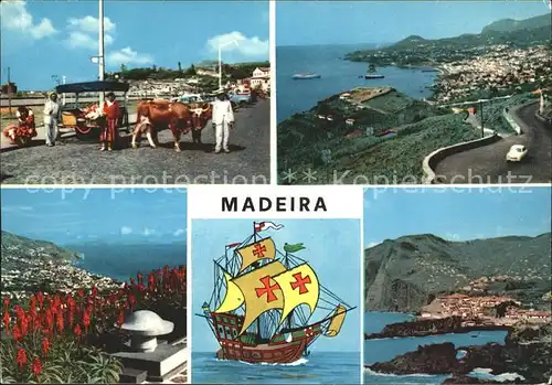 Madeira Kuh Schiff  Kat. Portugal